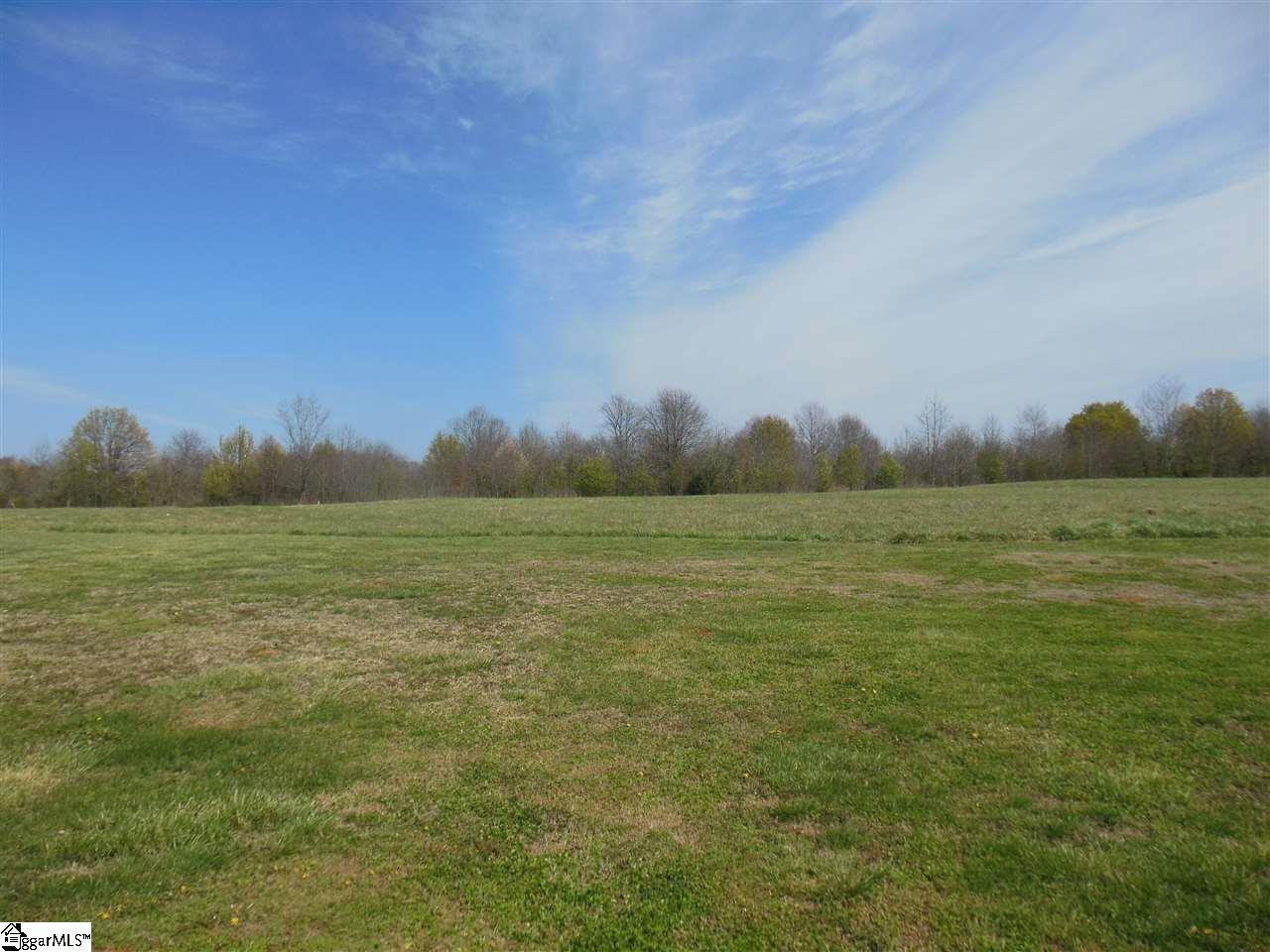 0 Rices Creek Road Liberty, SC 29657 - Photo 1 of 1