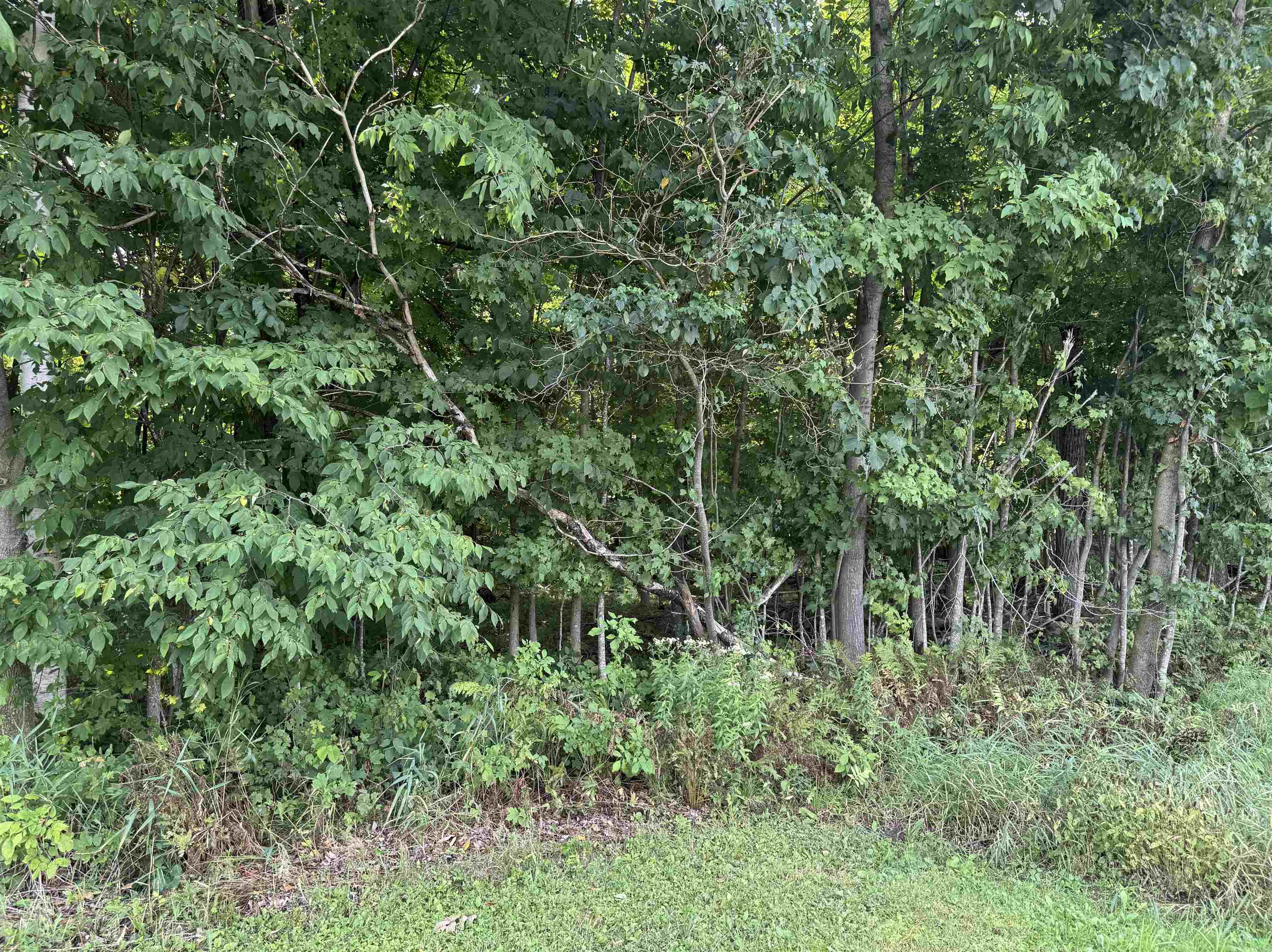 Lot 12 Burma Road Mosinee, WI 54455 - Photo 4 of 6 Gallery Image 4