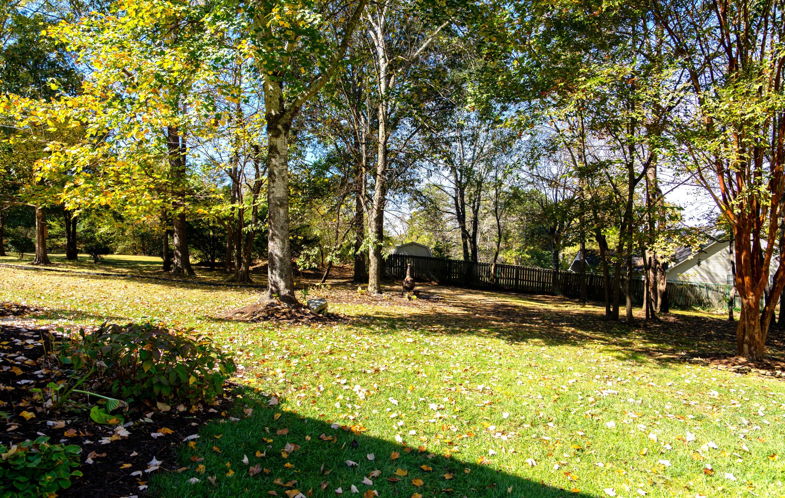 2421 Royal Fern Trail Chattanooga, TN 37421 - Photo 36 of 36 2421 Royal Fern Trail - listing photo -