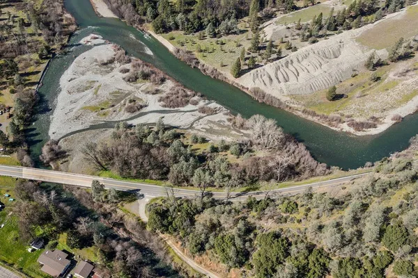 a view of a garden with a tree