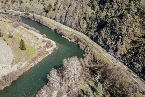 a view of a yard with trees