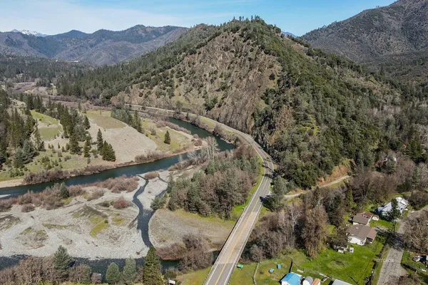 a view of a forest with a forest