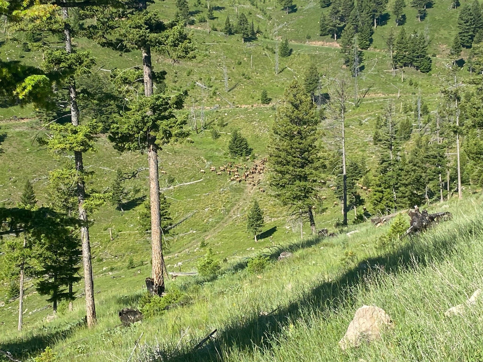 12 Garnet Range Road Drummond, MT 59832 - Photo 12 of 19 Gallery Image 12