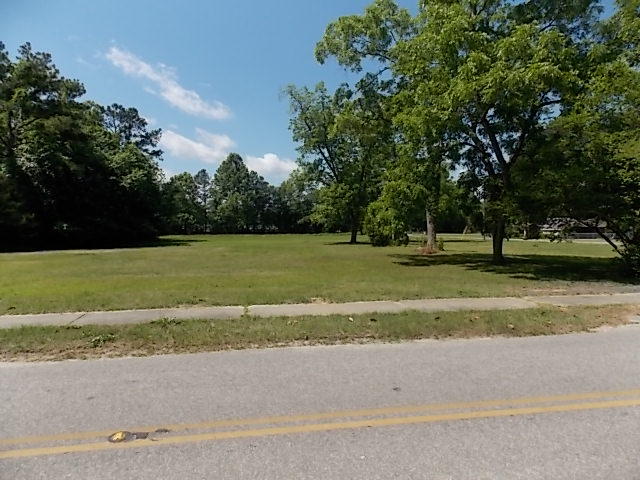 0 West George/abbott Street St. George, SC 29477 - Photo 5 of 5 GRGE-ABBOTT-E