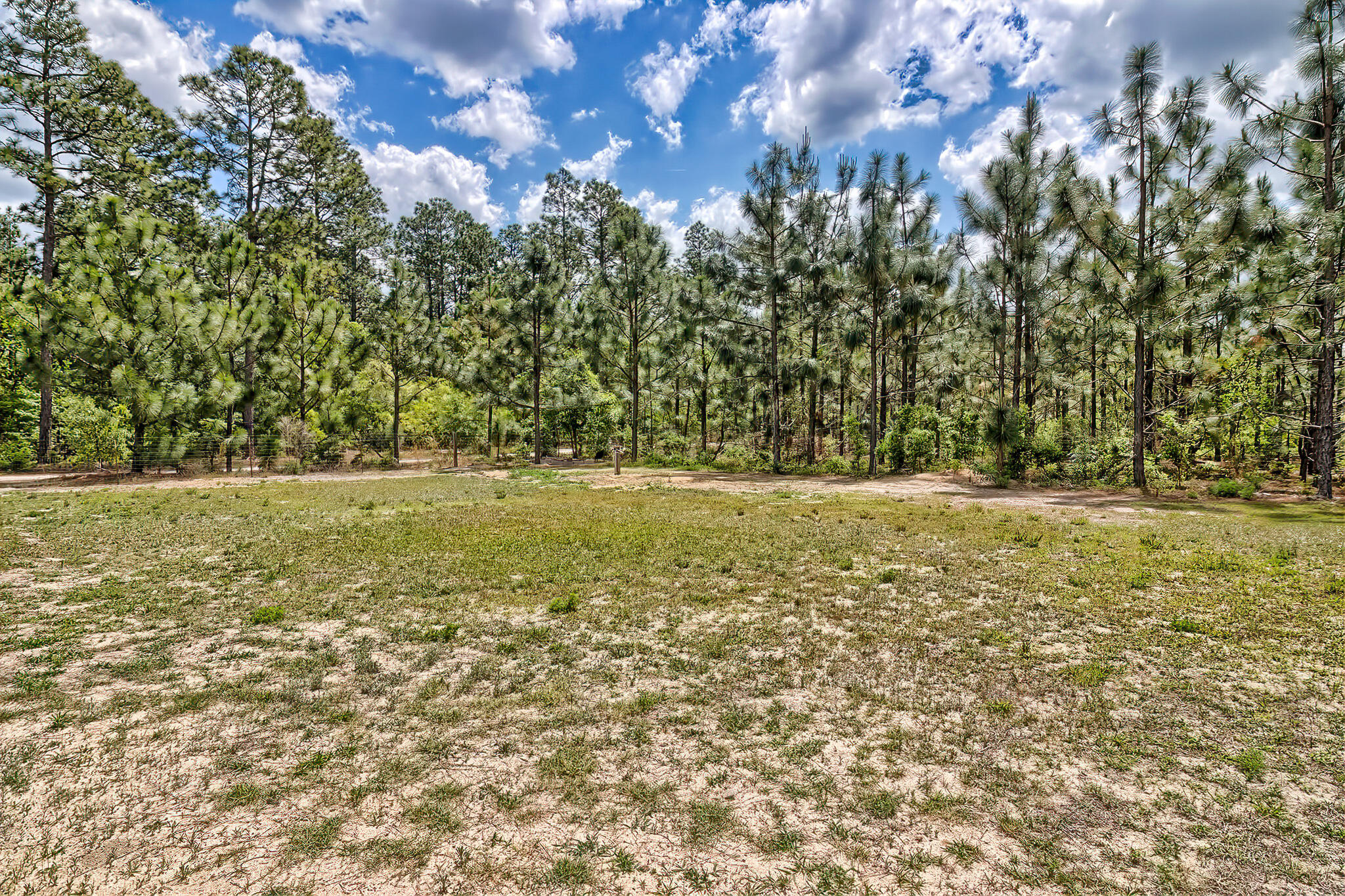 800 Wagontong Road Wagener, SC 29164 - Photo 50 of 57