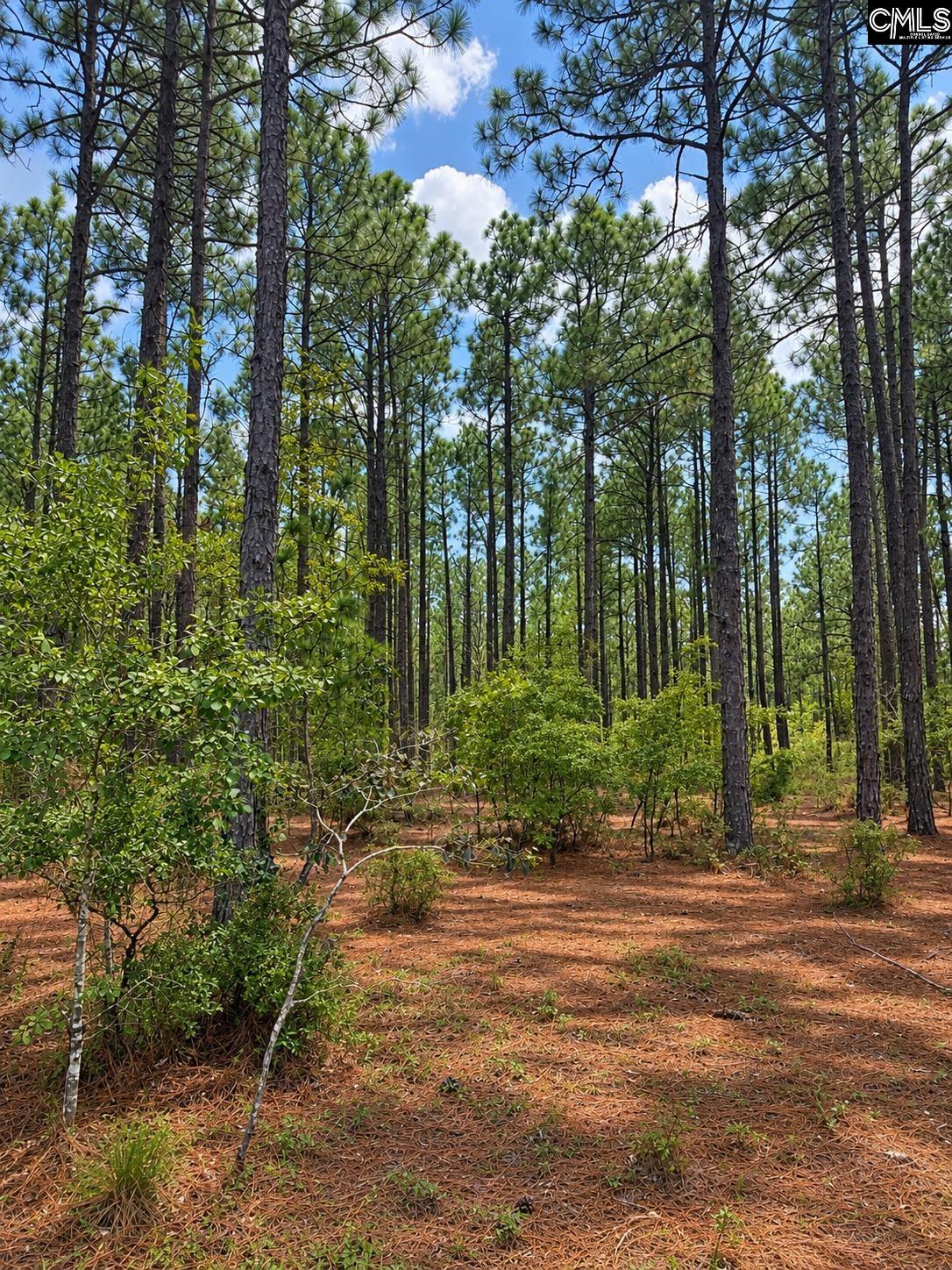 Tbd Gantt Mill Road, Unit PARCEL 3 Leesville, SC 29070 - Photo 3 of 16 Gallery Image 3