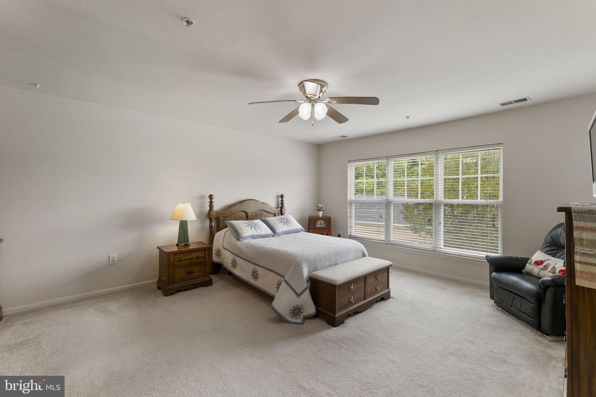 23418 Clarksridge Road Clarksburg, MD 20871 - Photo 13 of 40 Unwind in the primary bedroom