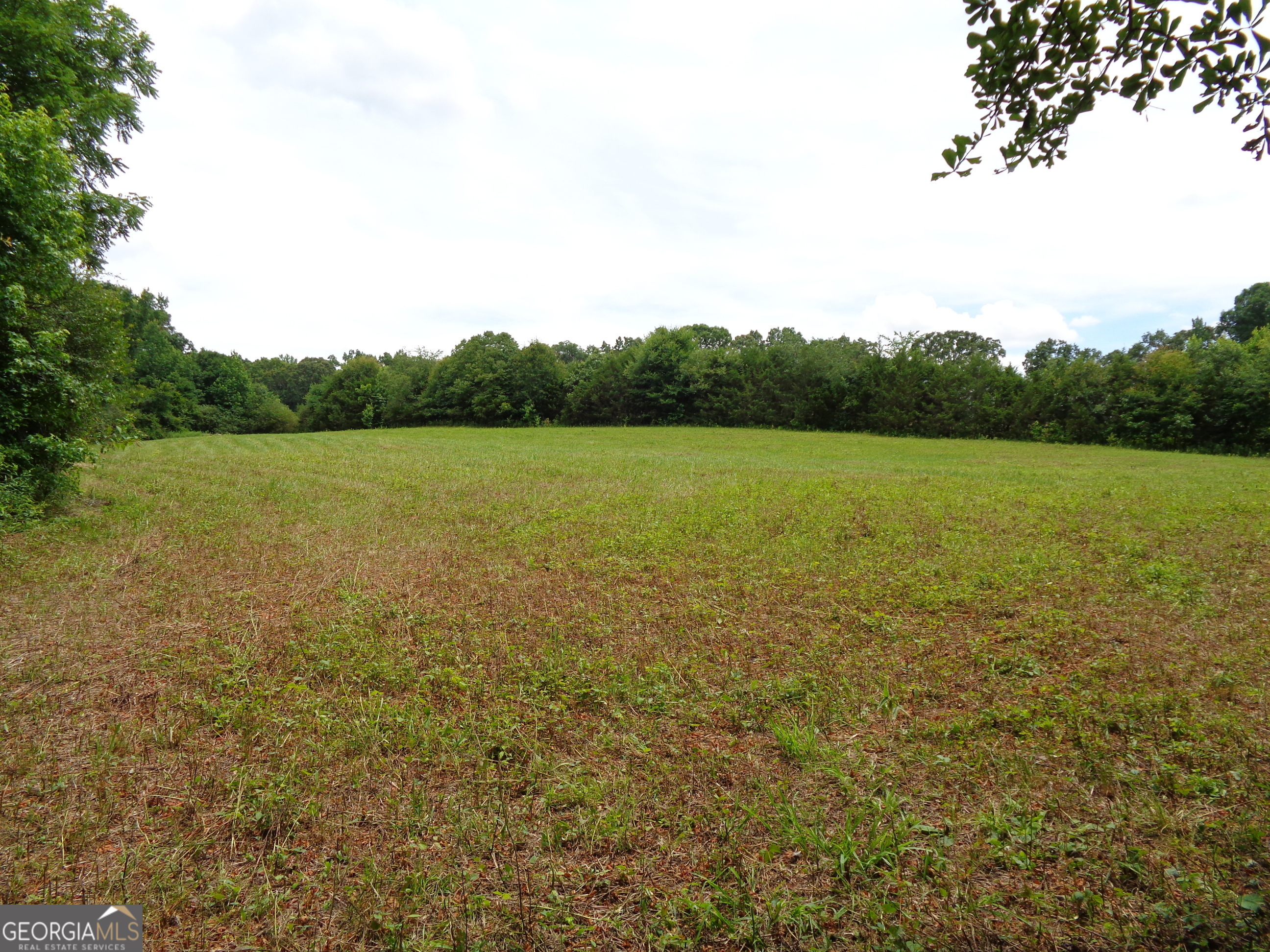 2411 Kesler Road Carnesville, GA 30521 - Photo 1 of 61 a view of an ocean and beach