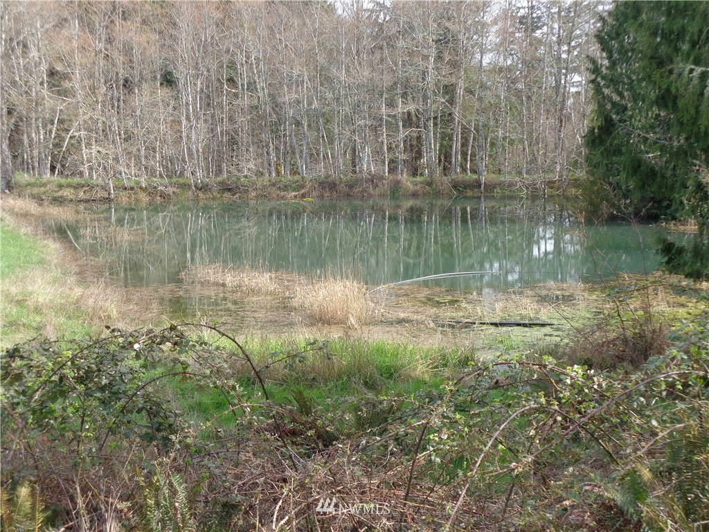 11548 Arnold Road Southwest Rochester, WA 98579 - Photo 14 of 24