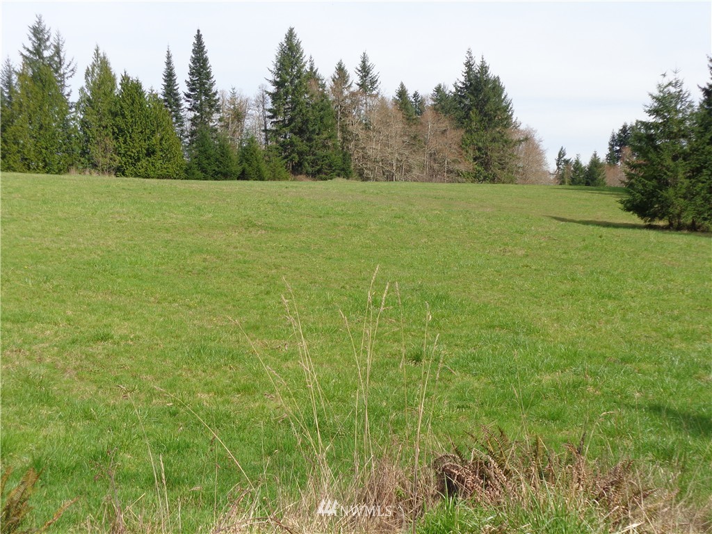 11548 Arnold Road Southwest Rochester, WA 98579 - Photo 16 of 24