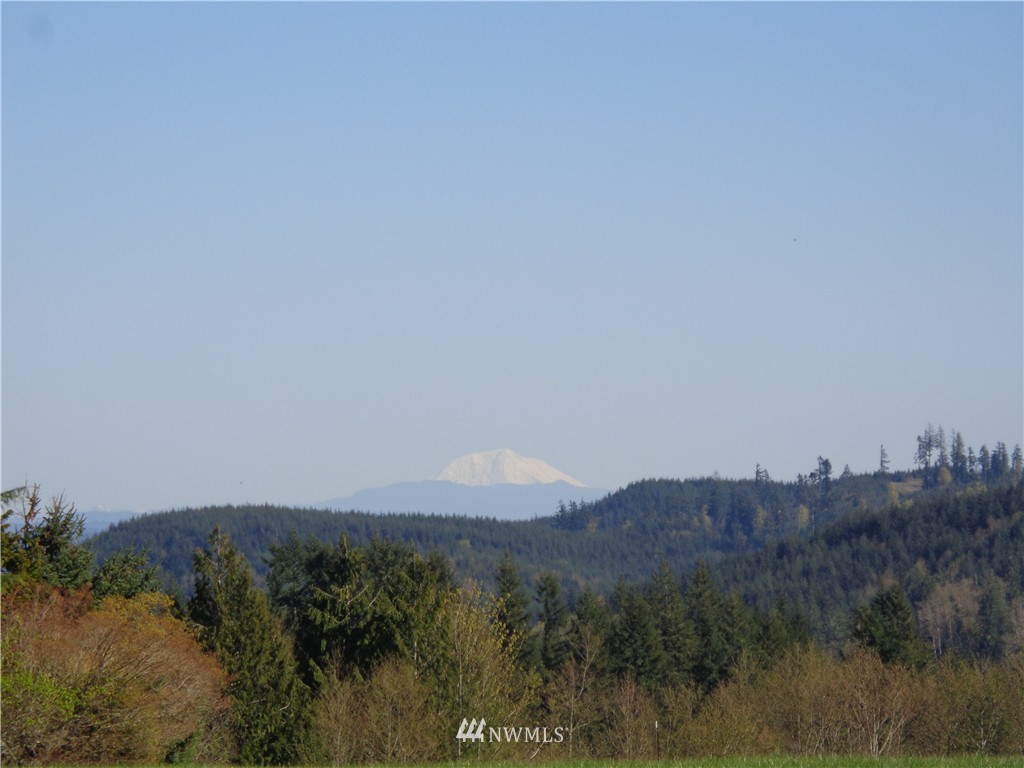 11548 Arnold Road Southwest Rochester, WA 98579 - Photo 19 of 24