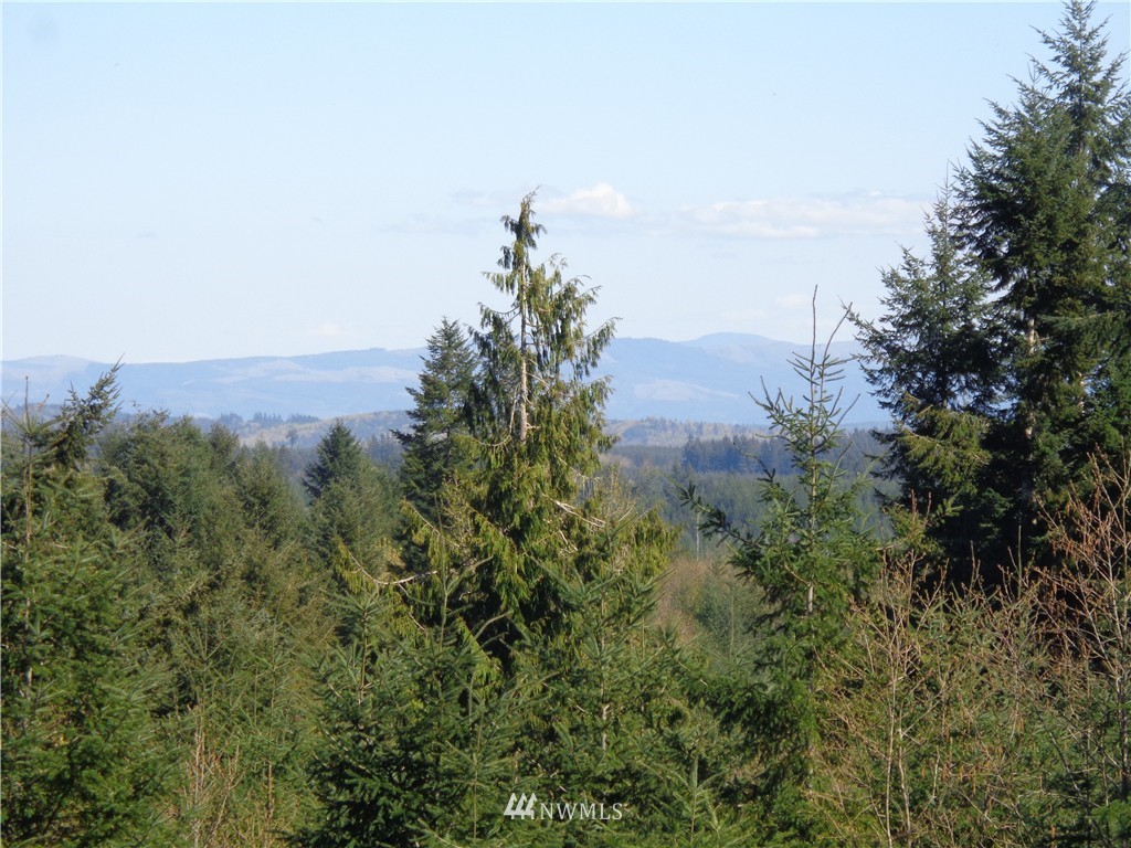 11548 Arnold Road Southwest Rochester, WA 98579 - Photo 20 of 24