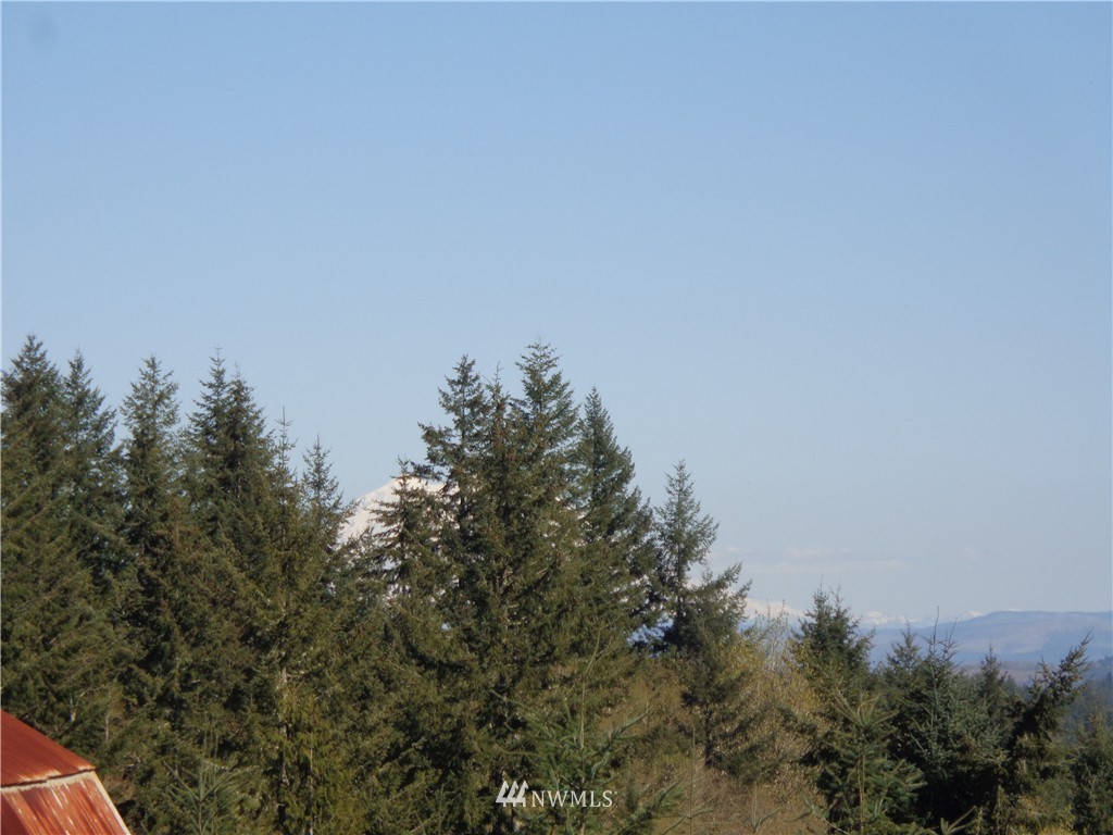 11548 Arnold Road Southwest Rochester, WA 98579 - Photo 21 of 24