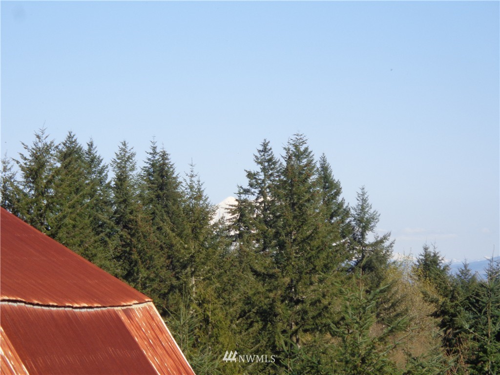 11548 Arnold Road Southwest Rochester, WA 98579 - Photo 22 of 24