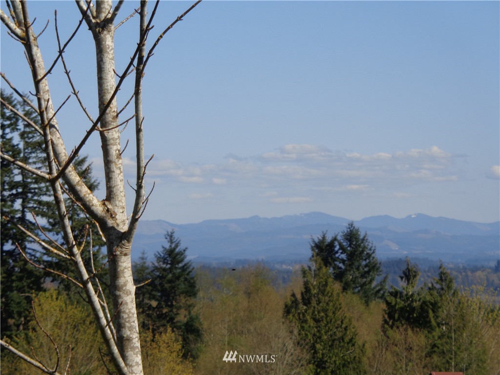 11548 Arnold Road Southwest Rochester, WA 98579 - Photo 23 of 24