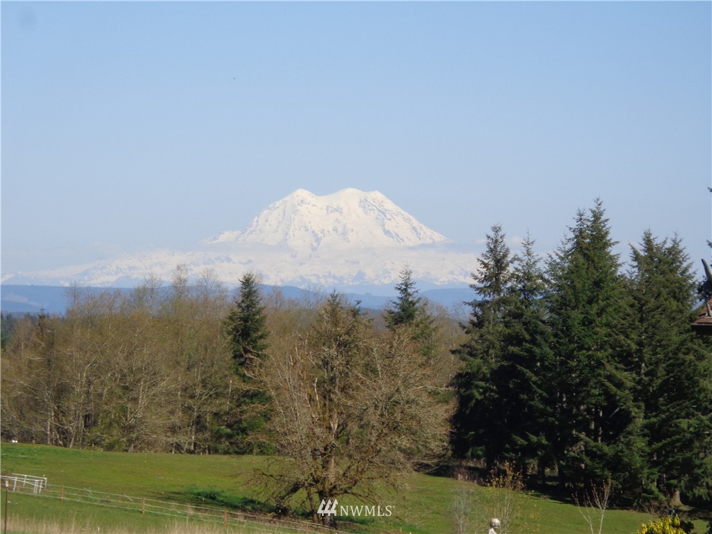11548 Arnold Road Southwest Rochester, WA 98579 - Photo 24 of 24