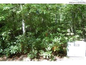 172 Goldfinch Road Newland, NC 28657 - Photo 1 of 3