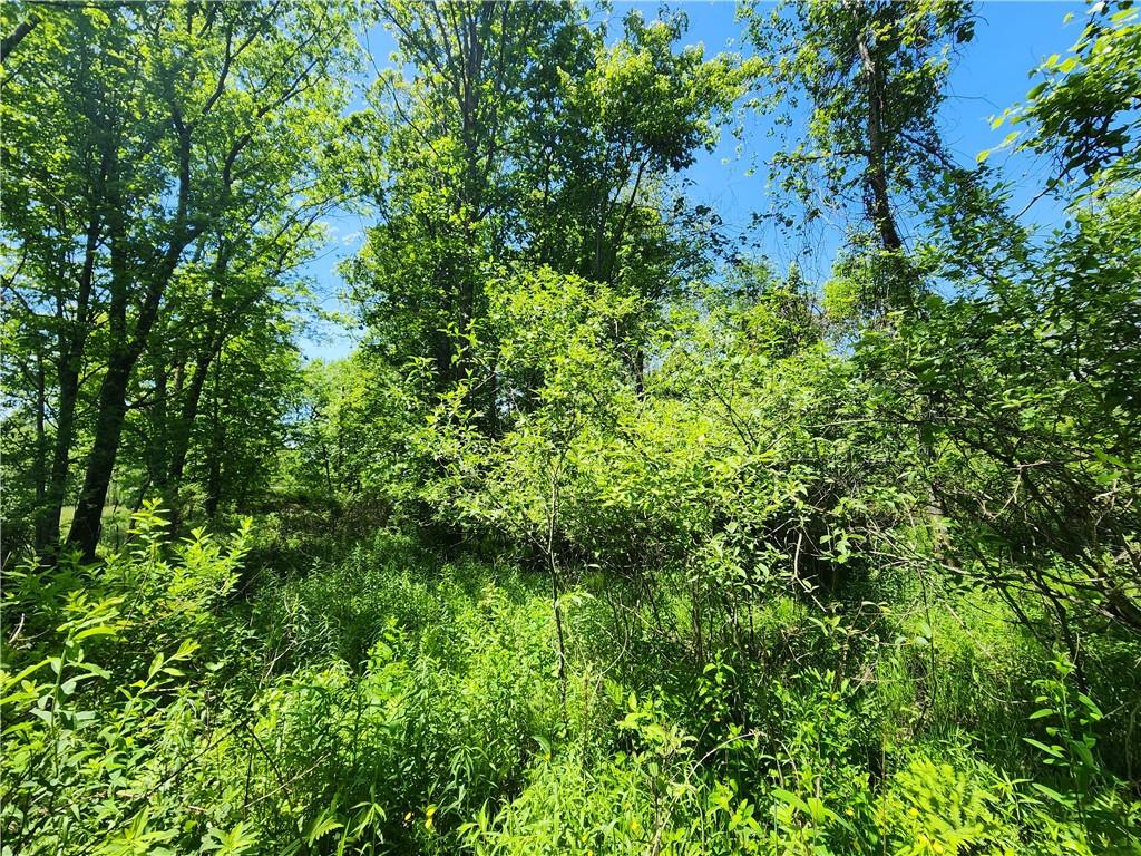 0 Irish Ridge Road Stoneboro, PA 16153 - Photo 4 of 12
