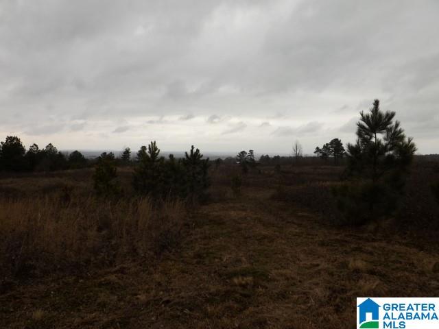 29 Highway Ac Al, Unit 33 Oneonta, AL 35121 - Photo 21 of 23