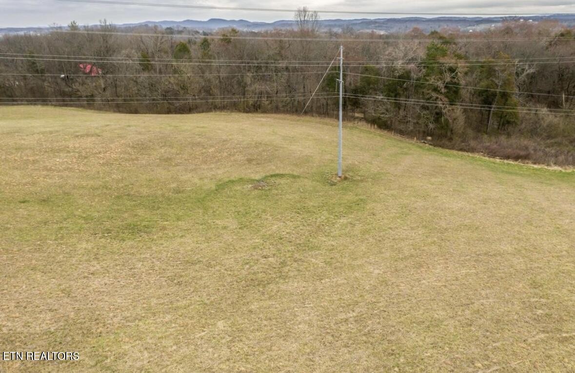 350 Reed Road Greeneville, TN 37745 - Photo 9 of 12