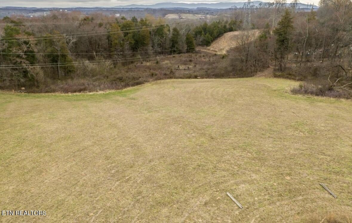 350 Reed Road Greeneville, TN 37745 - Photo 10 of 12 a view of lot of small space and mountain view
