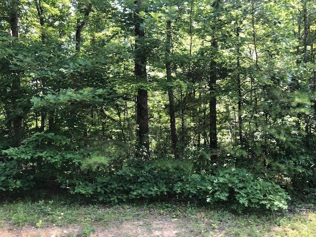 45 Cliff Park Road Monterey, TN 38574 - Photo 24 of 29 Gallery Image 24
