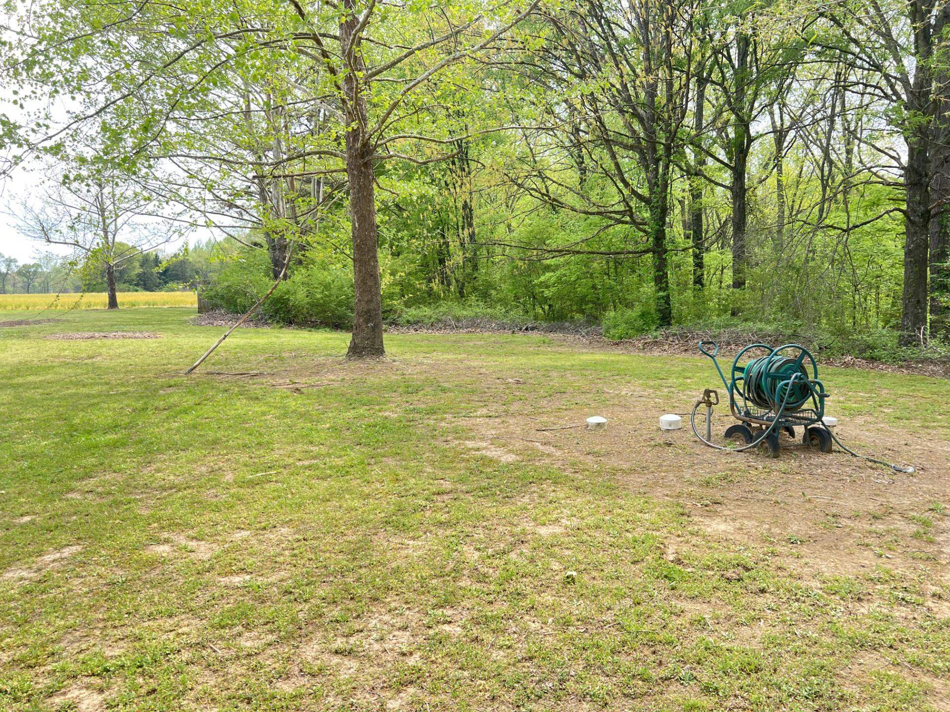 860 Plainview Road Henderson, TN 38340 - Photo 40 of 40 a view of yard with swimming pool and trees