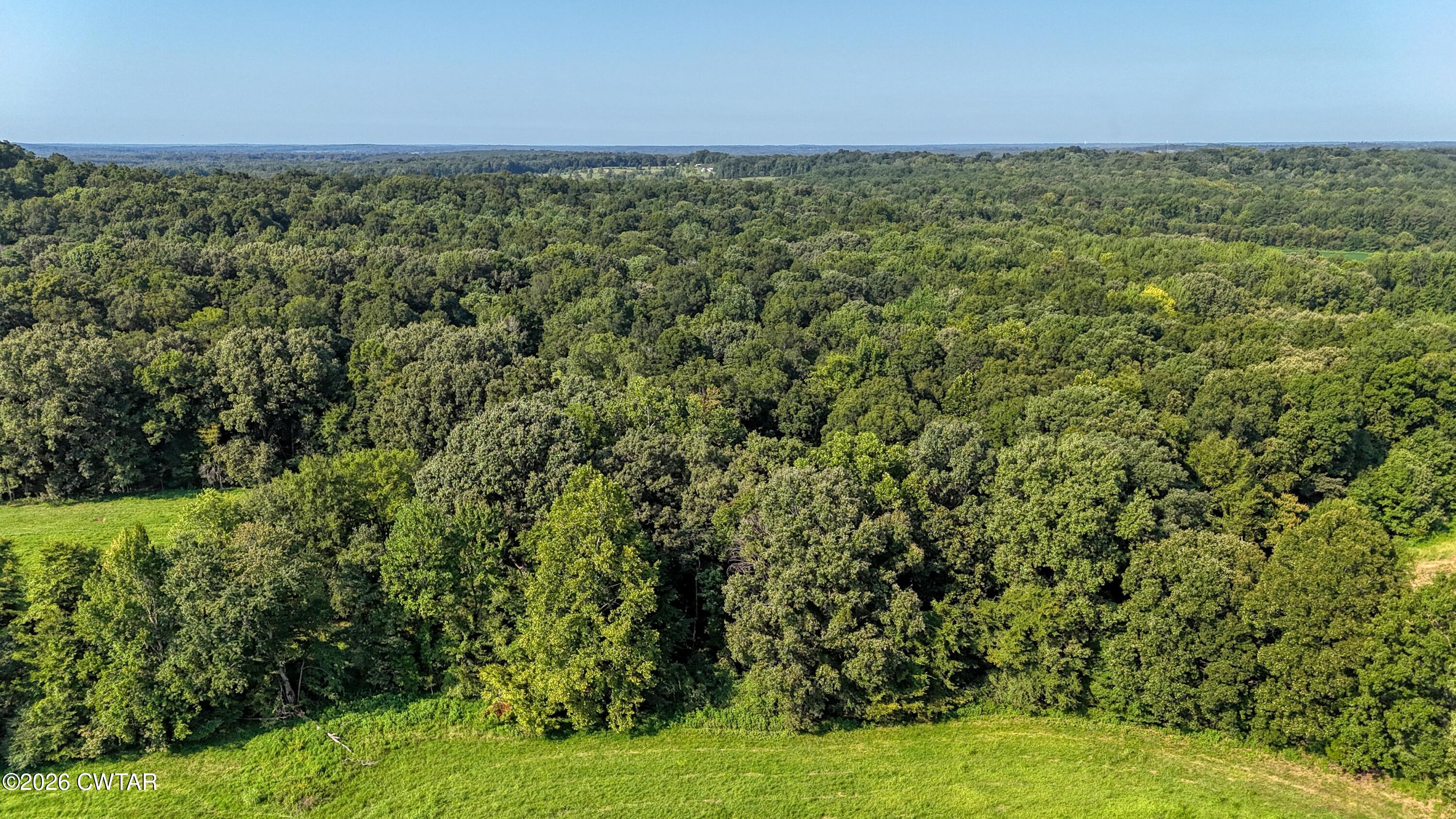 0 Finch Road Gleason, TN 38229 - Photo 7 of 25 DJI_20260811092716_0123_D