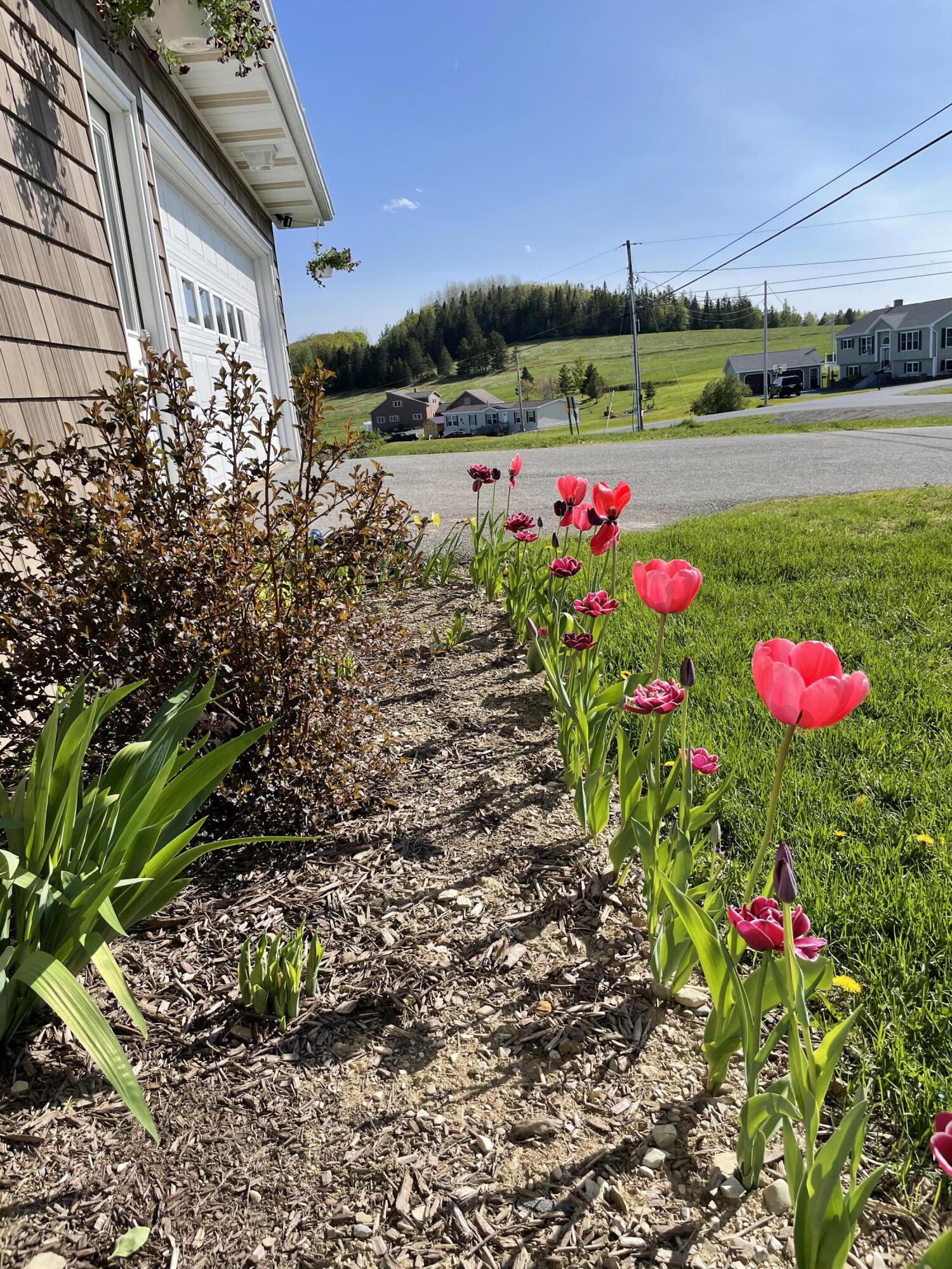 106 Pelkey Road Mapleton, ME 04757 - Photo 50 of 59 IMG_9473