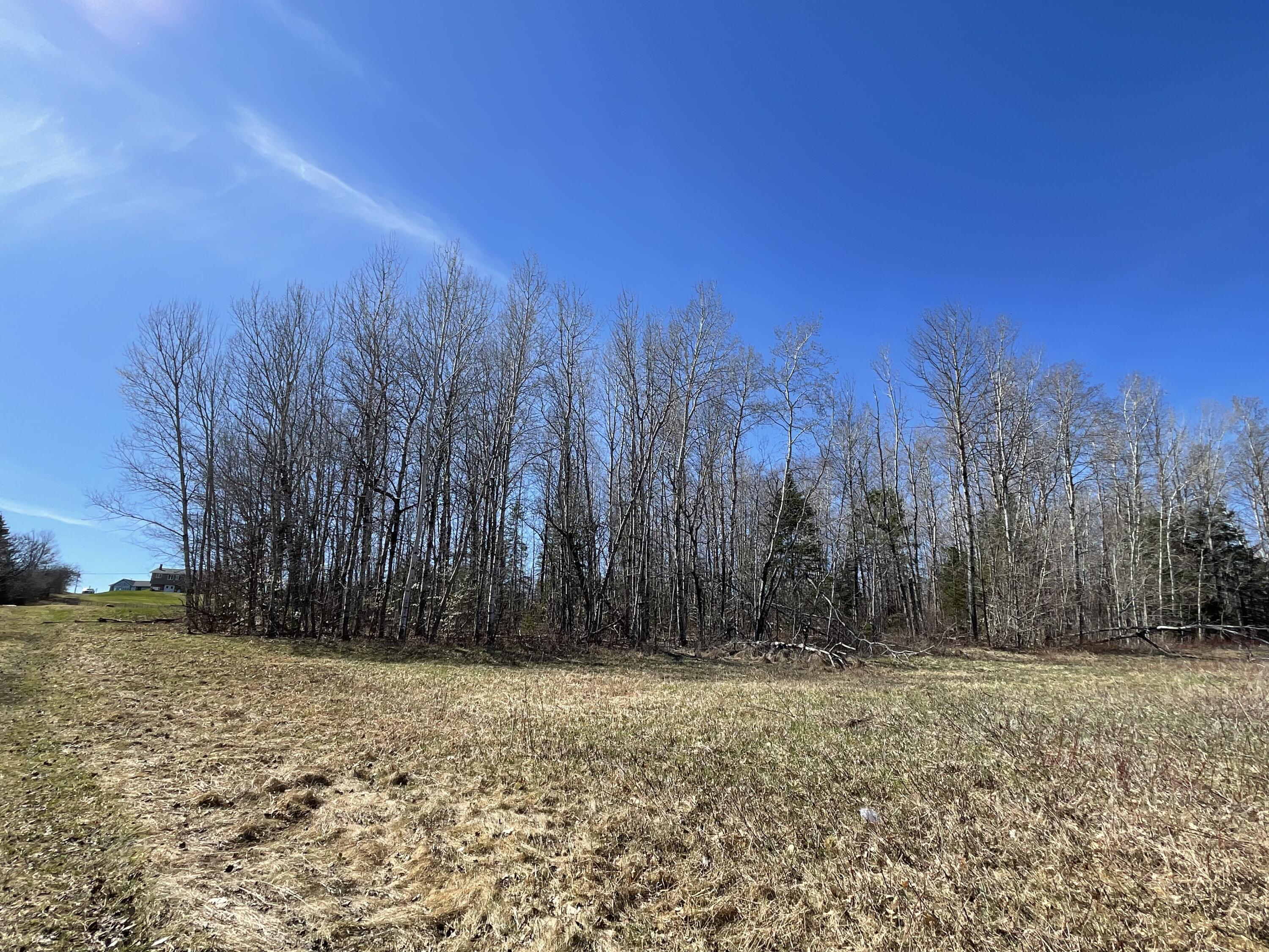 106 Pelkey Road Mapleton, ME 04757 - Photo 56 of 59 IMG_1035