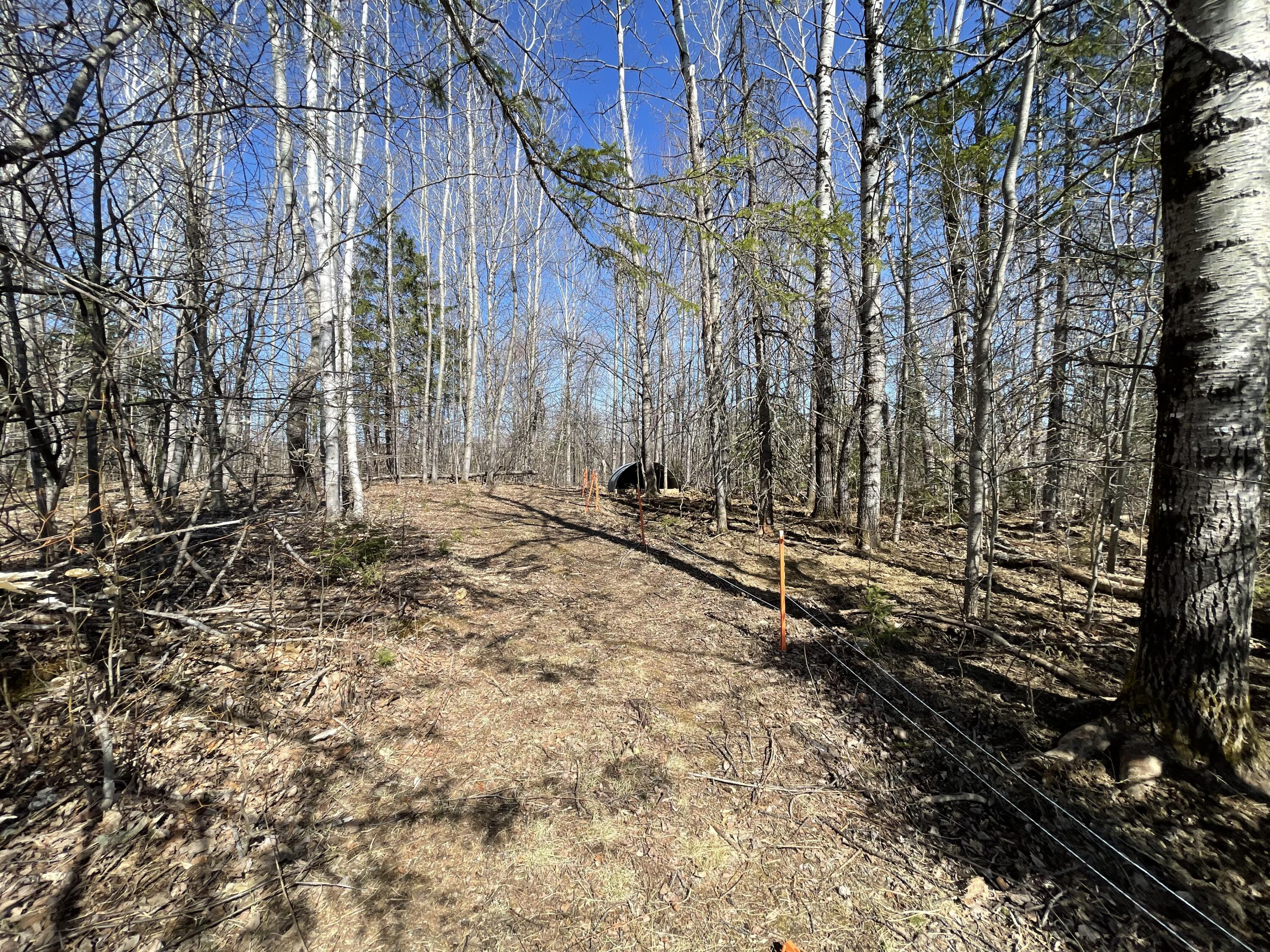 106 Pelkey Road Mapleton, ME 04757 - Photo 58 of 59 IMG_1042