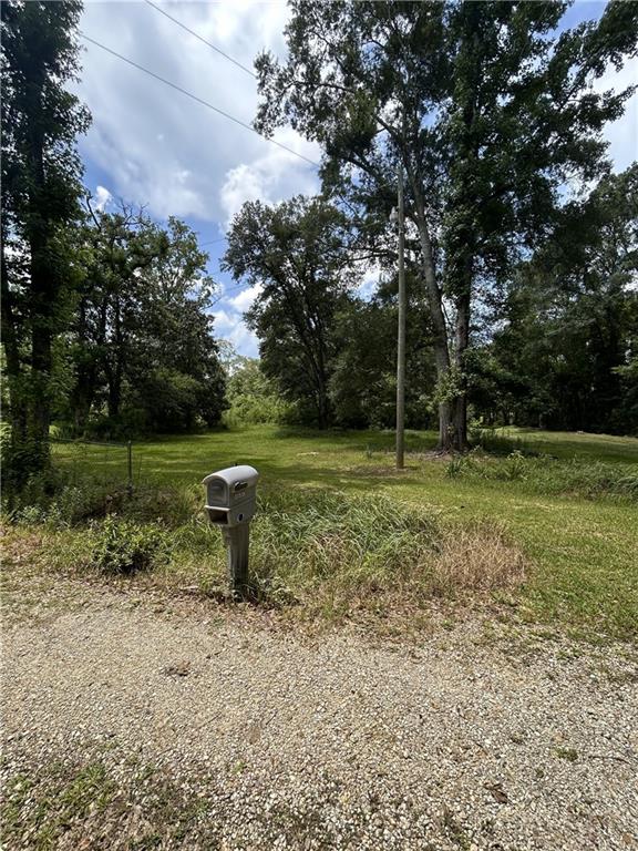 0 Leru Road Covington, LA 70435 - Photo 3 of 8