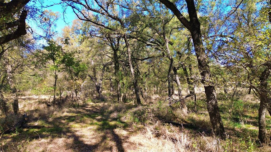 0 Bee Creek Road Maypearl, TX 76064 - Photo 32 of 39