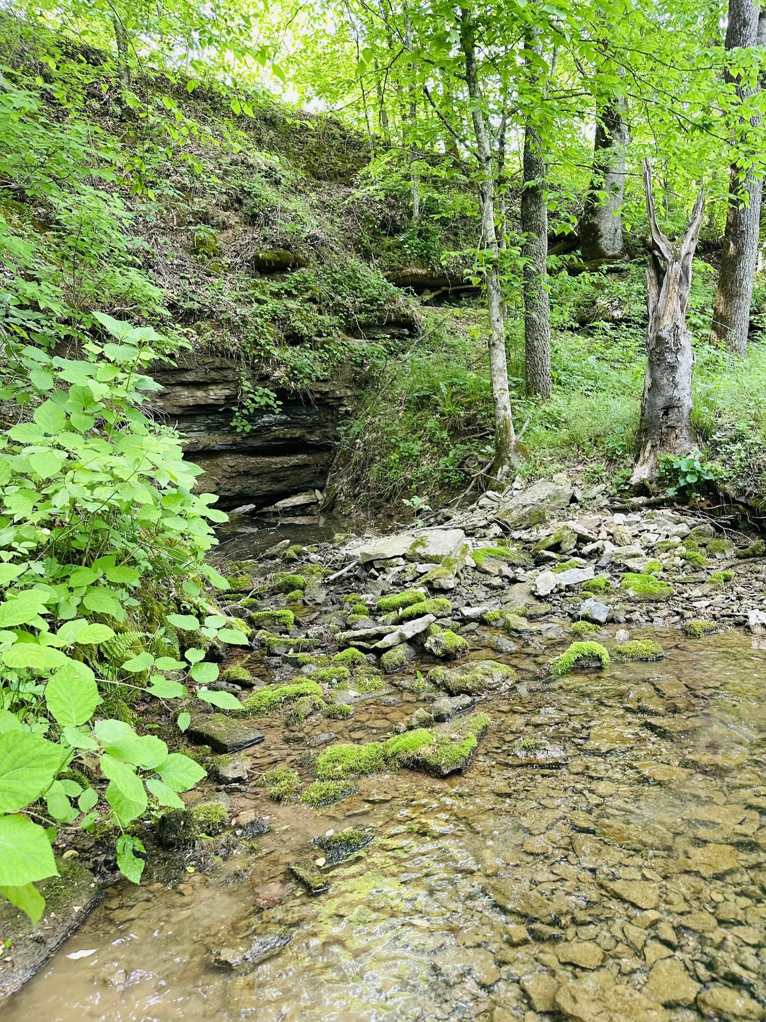 1611 Knob Creek Road Celina, TN 38551 - Photo 46 of 48