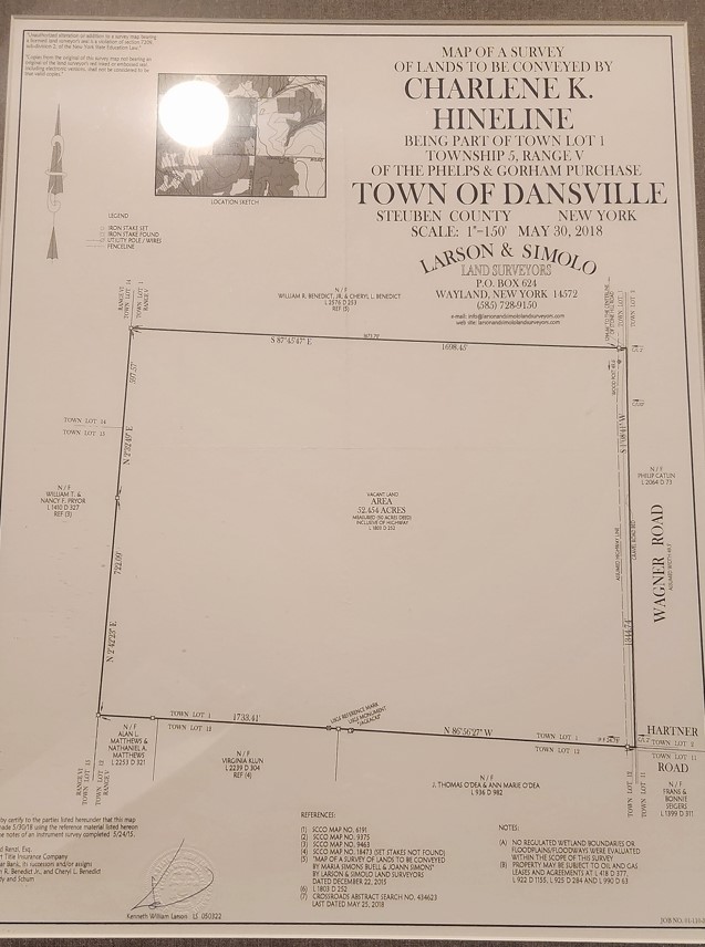 Wagner Road Dansville, NY 14437 - Photo 12 of 12
