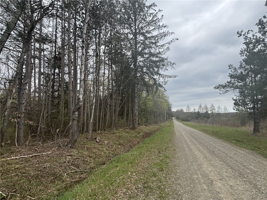 Wagner Road Dansville, NY 14437 - Photo 2 of 12