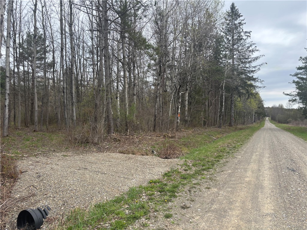 Wagner Road Dansville, NY 14437 - Photo 3 of 12