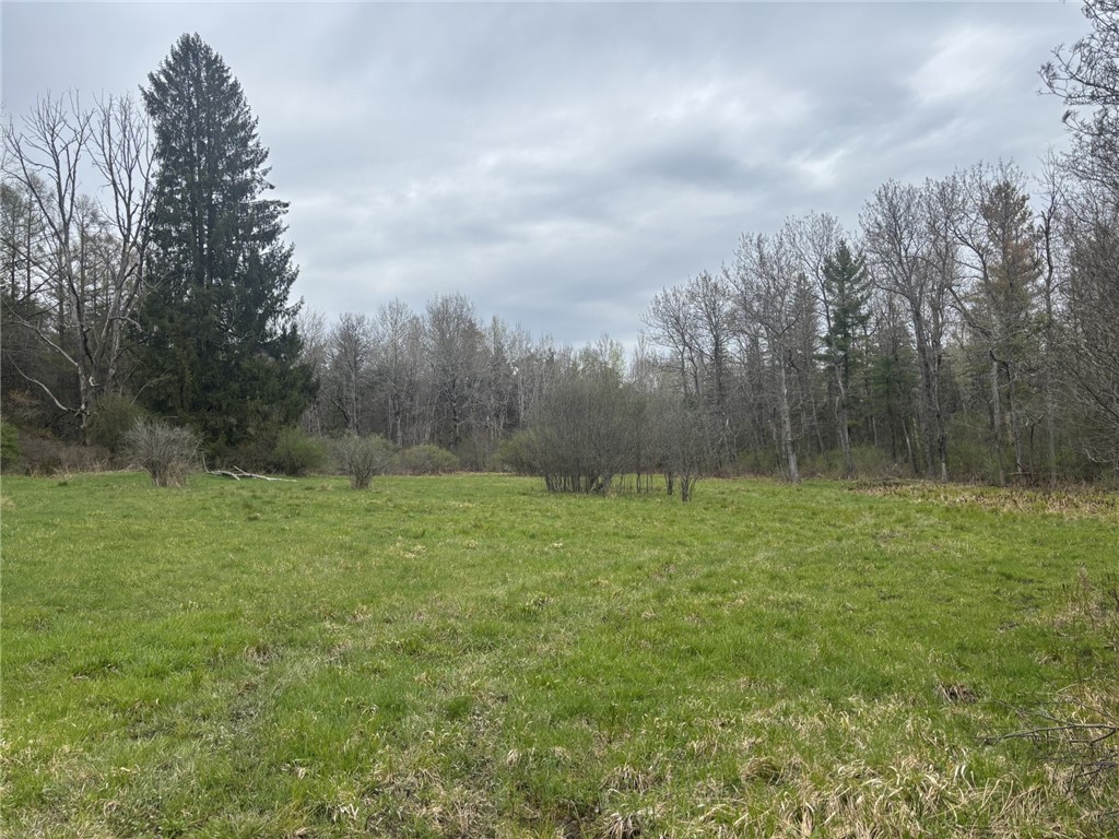 Wagner Road Dansville, NY 14437 - Photo 4 of 12