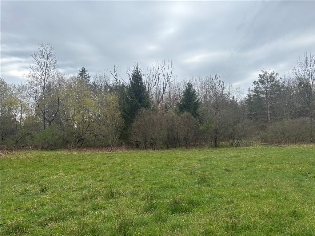Wagner Road Dansville, NY 14437 - Photo 5 of 12