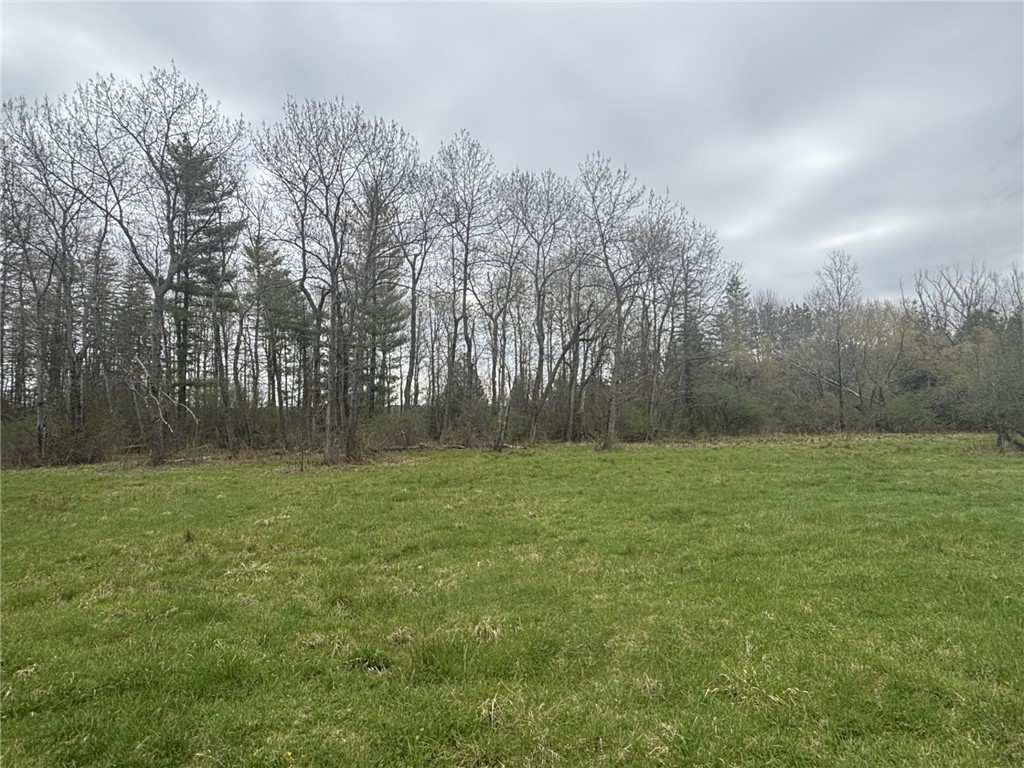 Wagner Road Dansville, NY 14437 - Photo 6 of 12