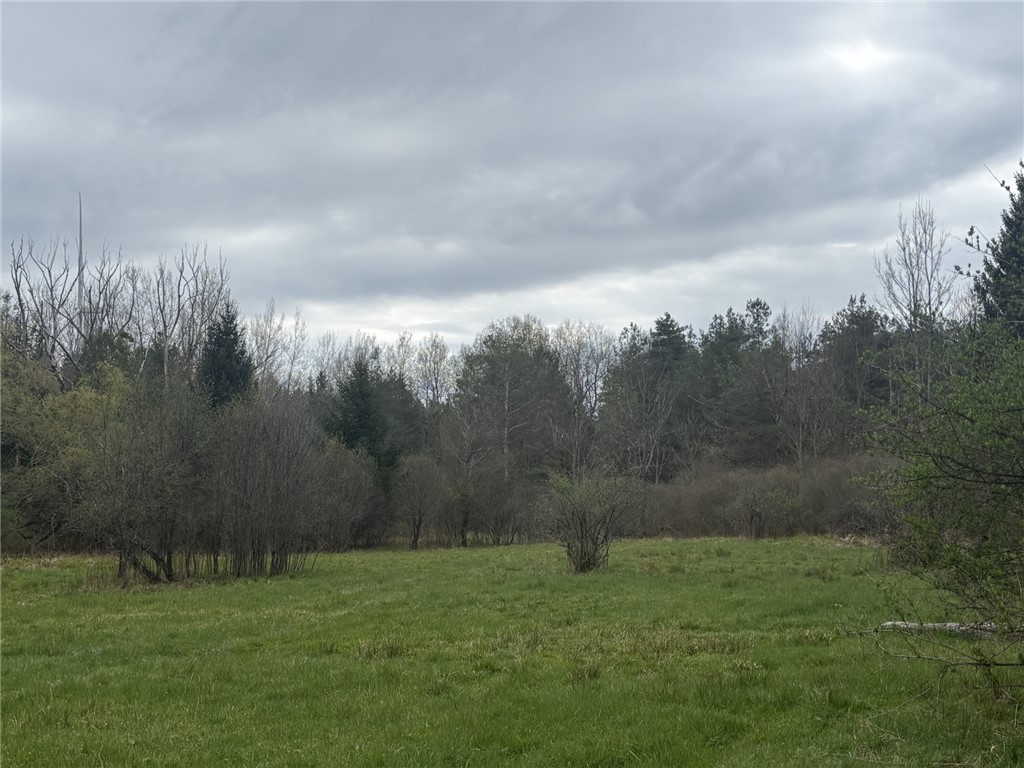 Wagner Road Dansville, NY 14437 - Photo 7 of 12