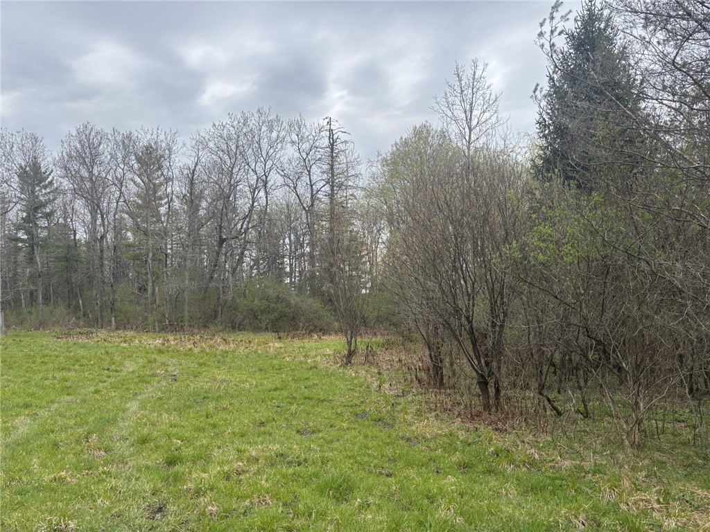 Wagner Road Dansville, NY 14437 - Photo 8 of 12