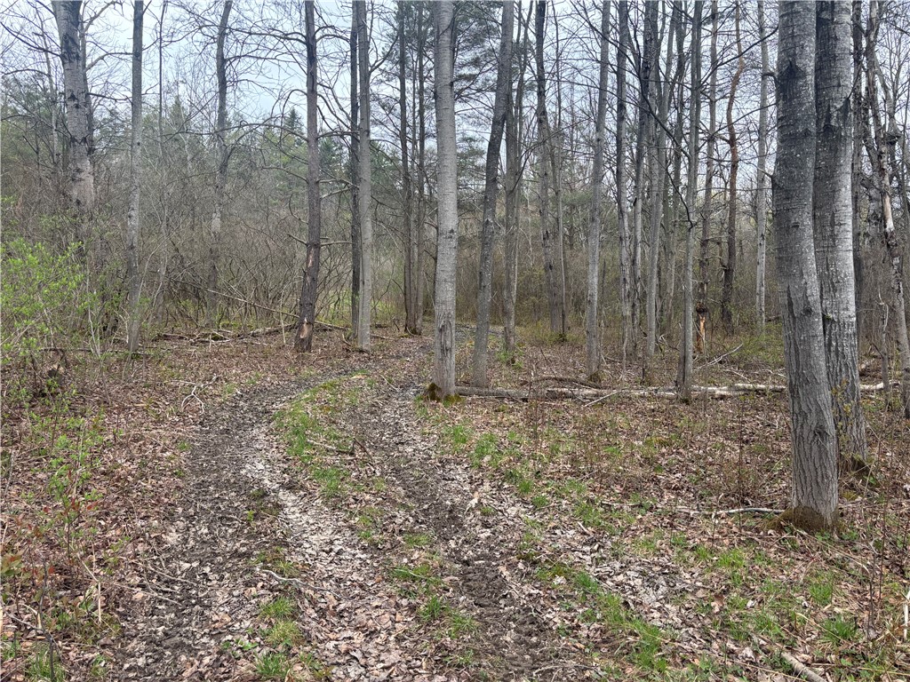 Wagner Road Dansville, NY 14437 - Photo 9 of 12