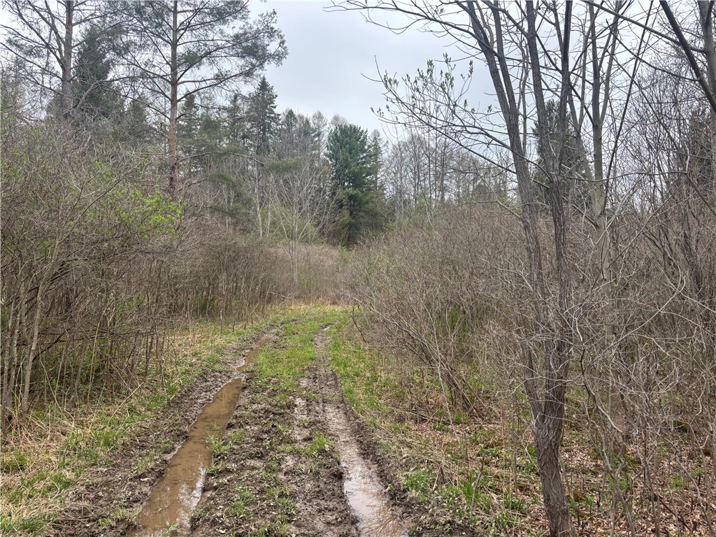 Wagner Road Dansville, NY 14437 - Photo 10 of 12