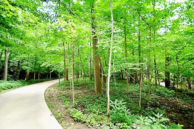 15429 Aboite Road Roanoke, IN 46783 - Photo 5 of 30