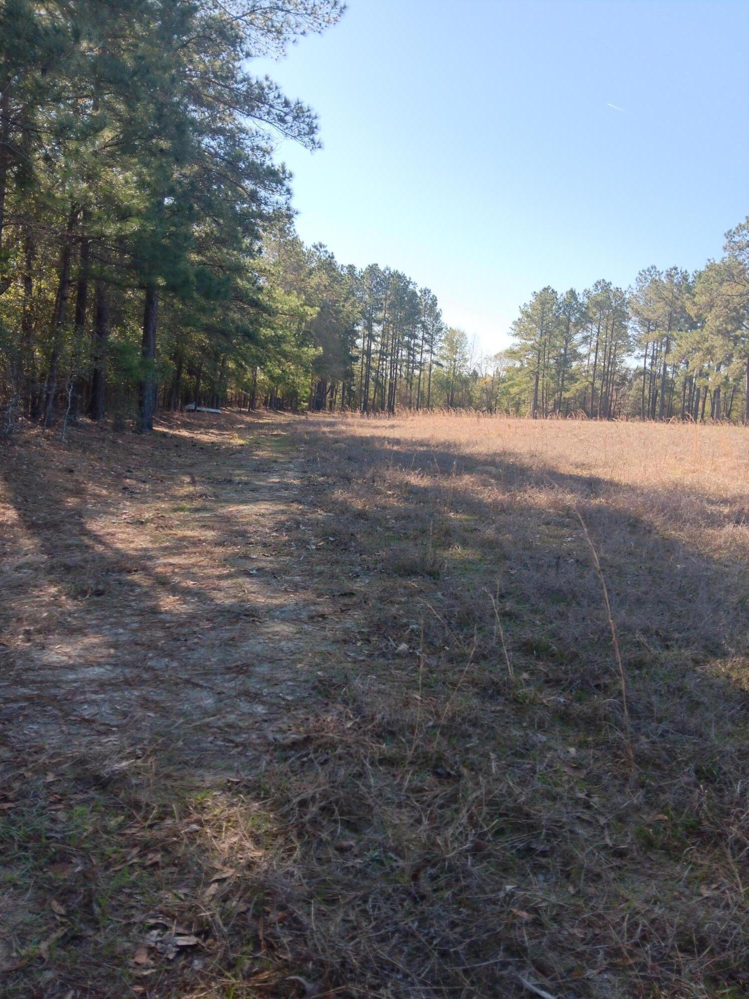 1689 Juniper Road Olar, SC 29843 - Photo 17 of 17