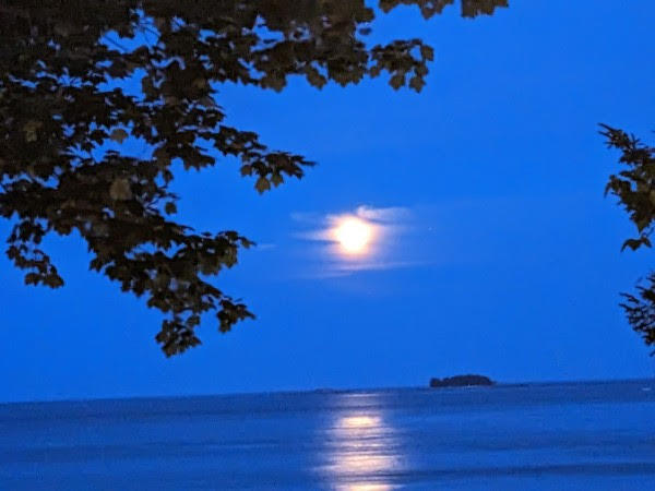301 Paul Bunyan Road Corea, ME 04624 - Photo 6 of 35 Moonlight over the bay