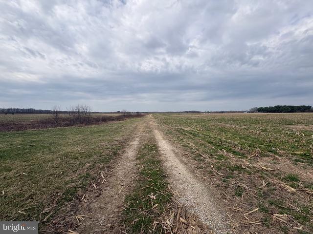 10870 River Road Denton, MD 21629 - Photo 10 of 18