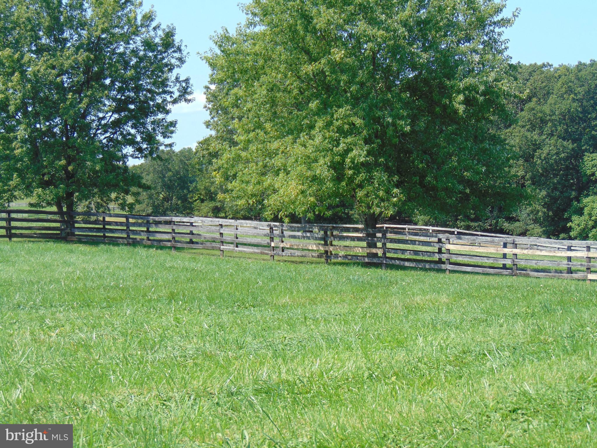 916 Oak Tree Road Westminster, MD 21157 - Photo 11 of 16 View