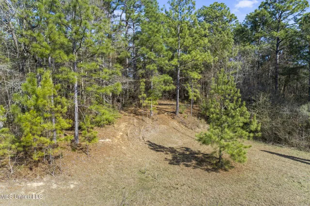 $69,900 | 1 Magnolia Drive, Petal, MS 39465